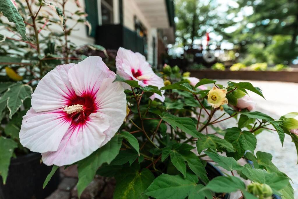 Big Blue Lake Cottages, Llc - Cottage #5 Holton Εξωτερικό φωτογραφία
